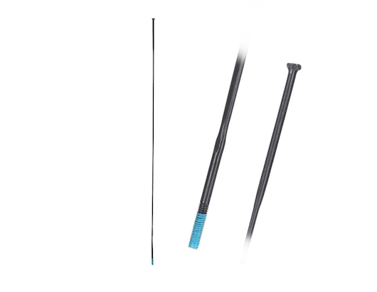 autre photo de IMG/shimano/shimano_rayon_286mm_WH-r8170c-36-tl-f.jpg